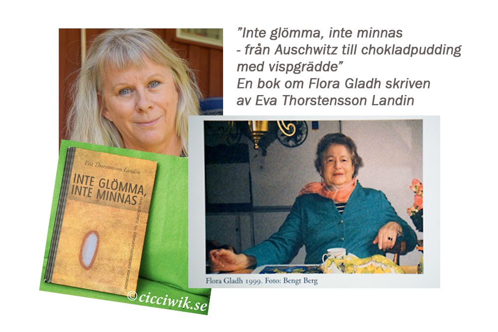 Boken Inte glömma inte minnas av Eva Thorstensson.