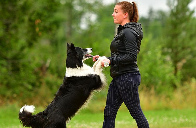 Pernilla Pöykiöniemi och hennes bordercollie Lexus. Foto: Anhelee Pugliano.