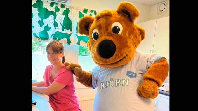 Dehe Veterinärklinik fick besök av kommunmaskoten Björn.