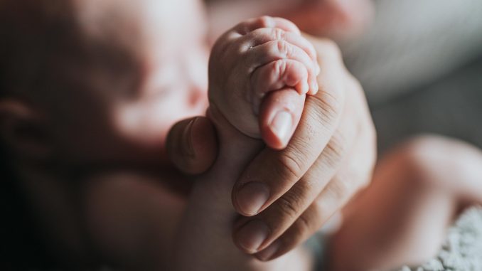 Foto: Nathan Dumlao, Unsplash