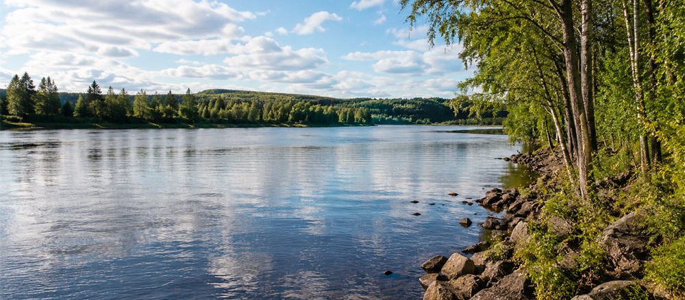 Genrebild skapad av ChatGPT för forshagadejenytt.se