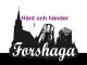 Händer i Forshaga kommun