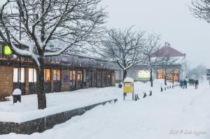 16012018 FEN 4705 Erik Nygren