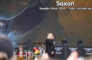 DSC03356 (1)