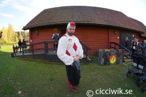 Gycklargruppen Narrarna