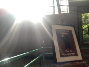 IMG 20200704 174706621 HDR