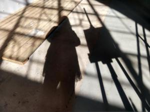 IMG 20200704 174854311 HDR