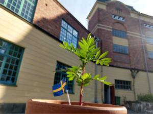 IMG 20200704 190121952 HDR