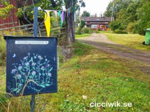 IMG 20200830 131559588 HDR